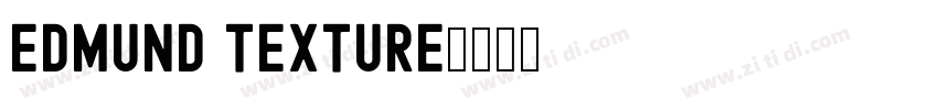 Edmund Texture字体转换